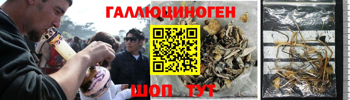 Юрга  Псилоцибиновые грибы Magic Shrooms  Вход с VPN 