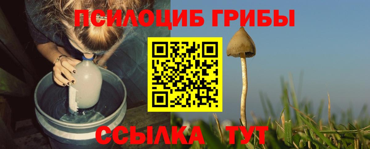 Псилоцибиновые грибы Psilocybine cubensis Юрга